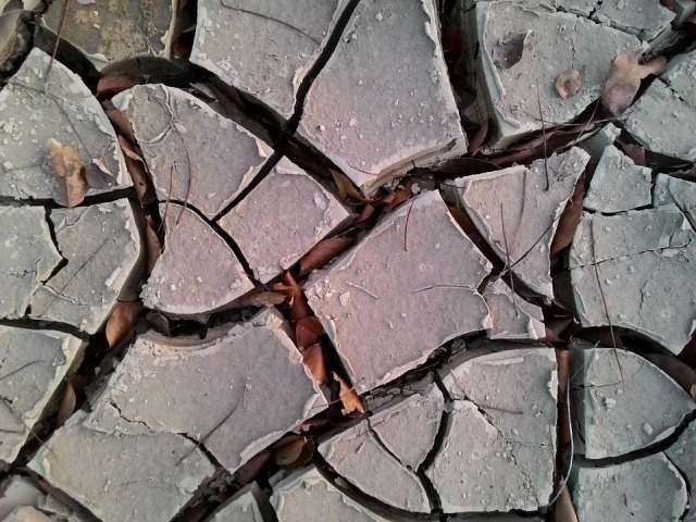cracked-soil-2457916_960_720
